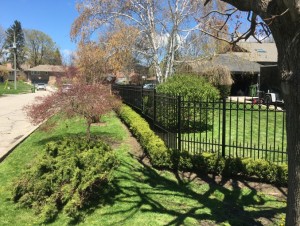 Concord Fence Panel 