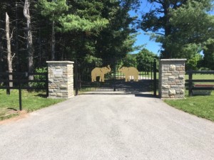 Concord Bi Parting Gate with Elephants