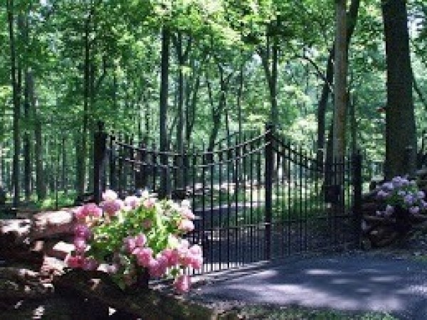 Lexington Bi Parting Gate Automated 